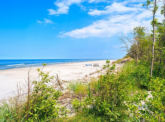 Nadmorska roślinność