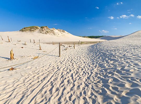 Wydmy ruchome w Słowińskim Parku Narodowym