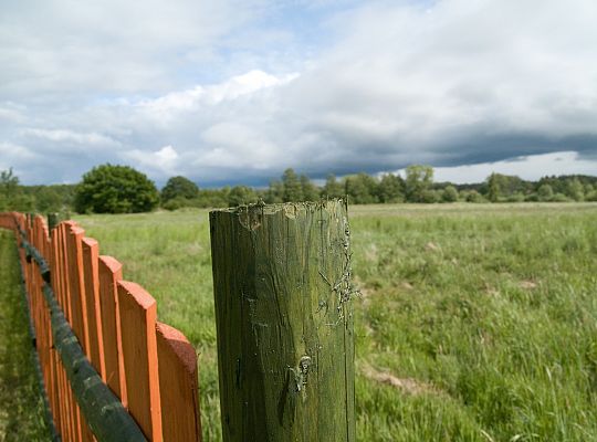 Domki drewniane w Lubiatowie nadmorski klimat