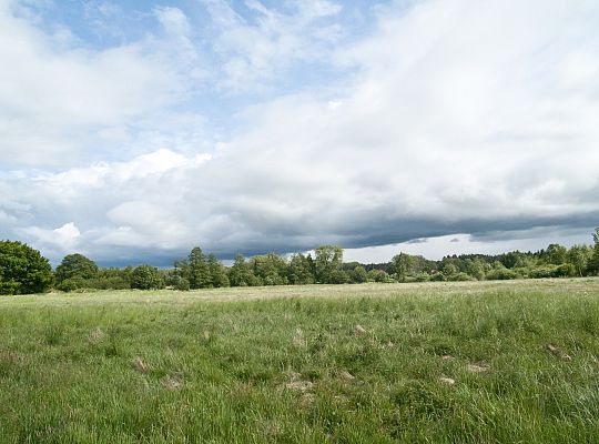 Domki blisko morza do wynajęcia