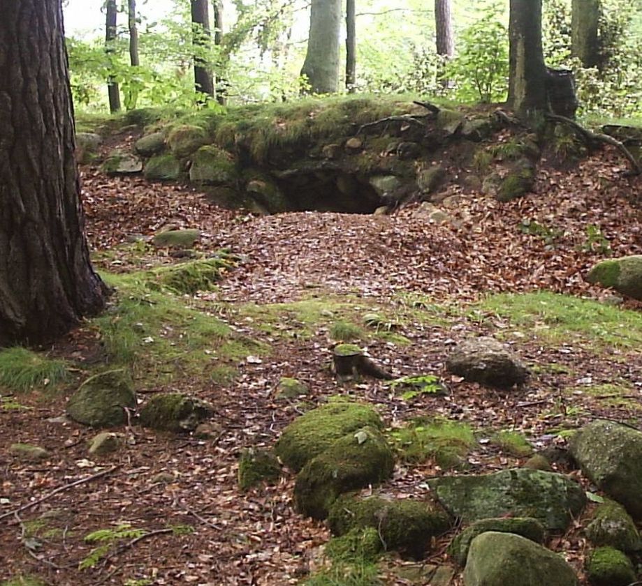 Ścieżka przyrodniczo - leśna Szklana Huta